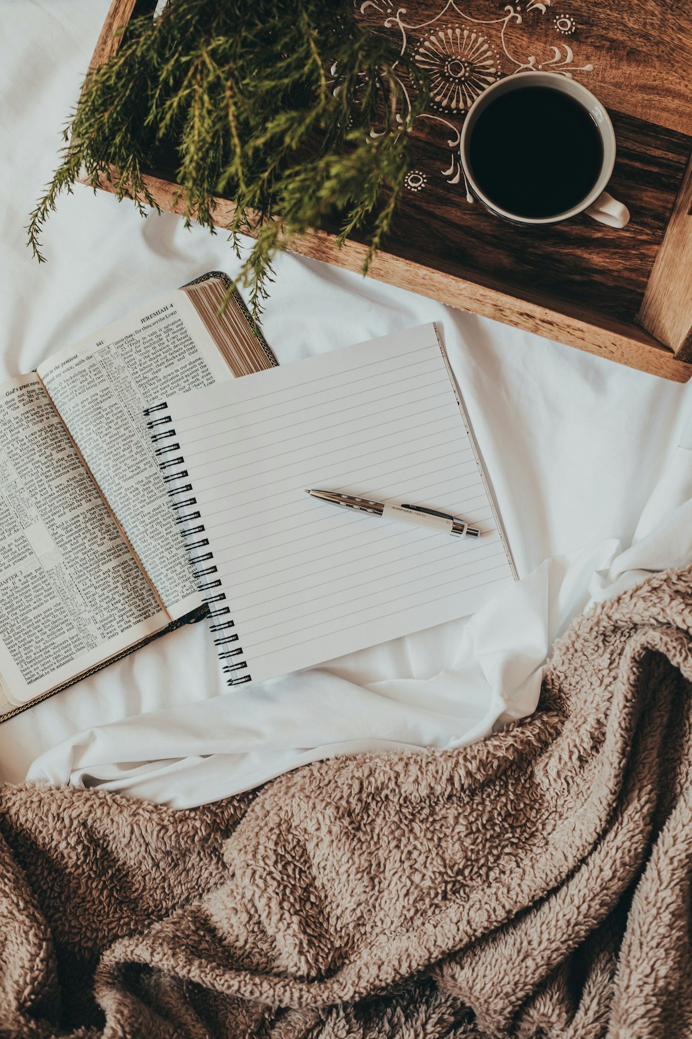 olzd notes